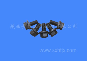 ����˹������˨    3022589