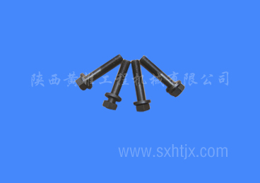 ����˹������˨   3011712