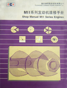 M11ϵ�з�����ά���ֲ�