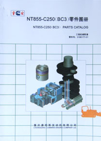 ����˹NTA855-C250(BC3)���ͼ��