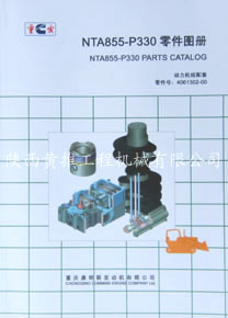 ����˹NTA855-P330���ͼ��