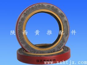 ����˹������ͷ� 3062393